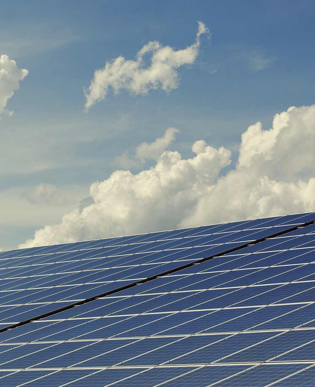 The Future in Renewable Energy